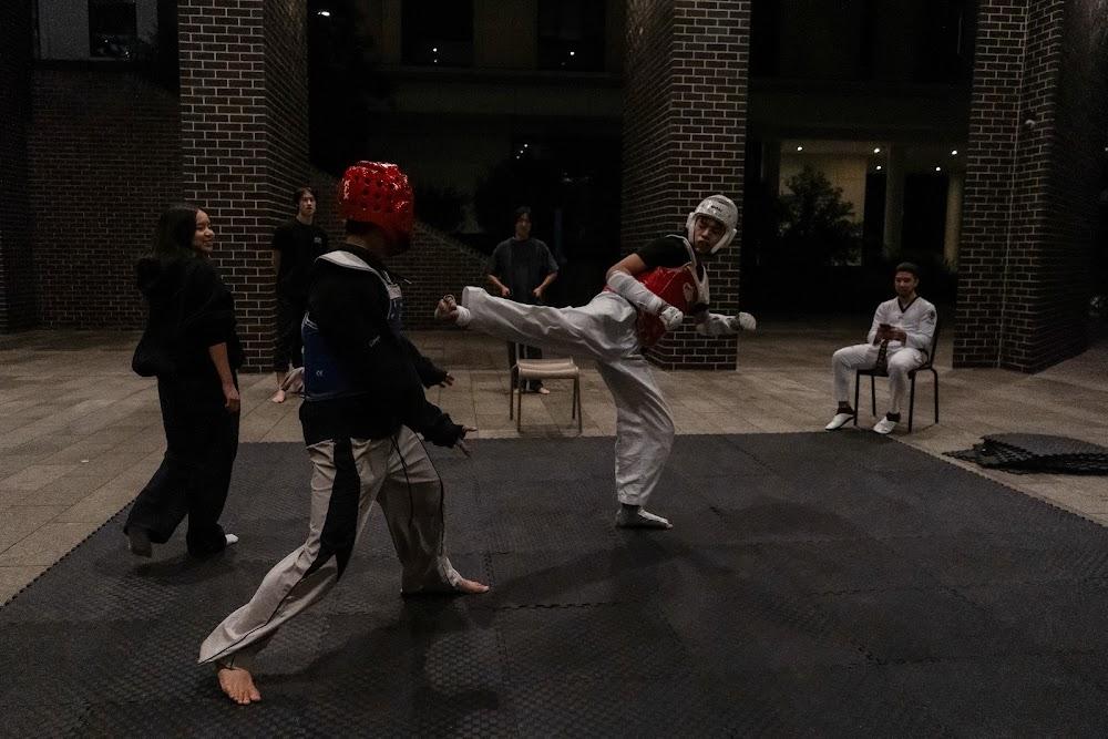 TDog Taekwondo competition G669