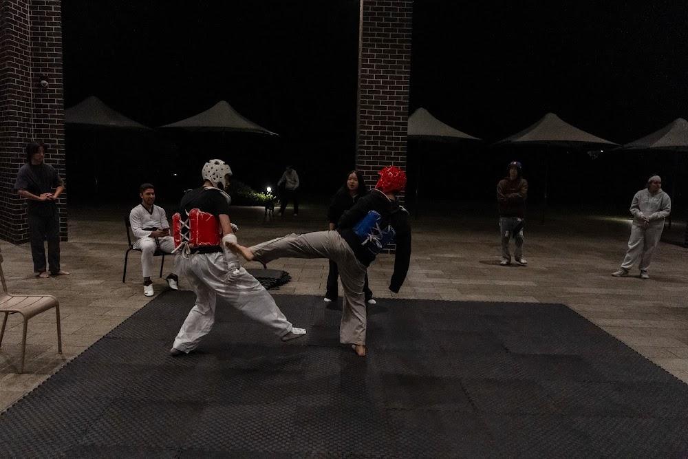 TDog Taekwondo competition G670