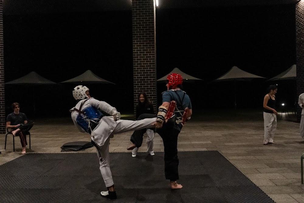 TDog Taekwondo competition G671