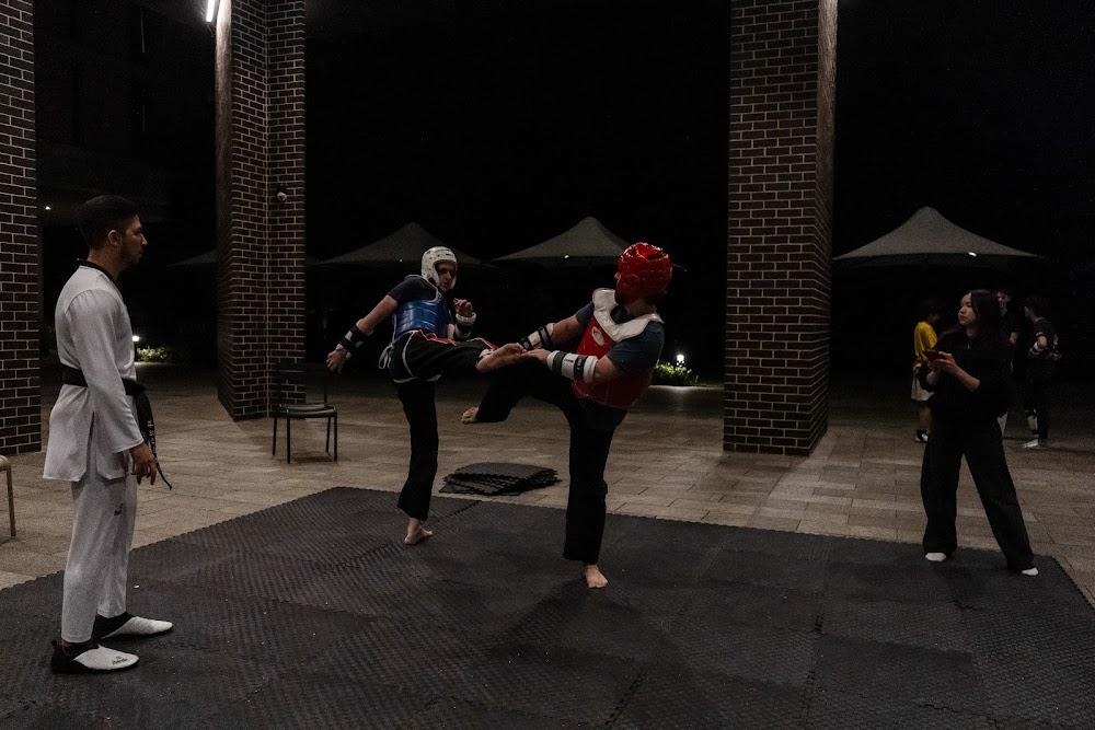 TDog Taekwondo competition G672
