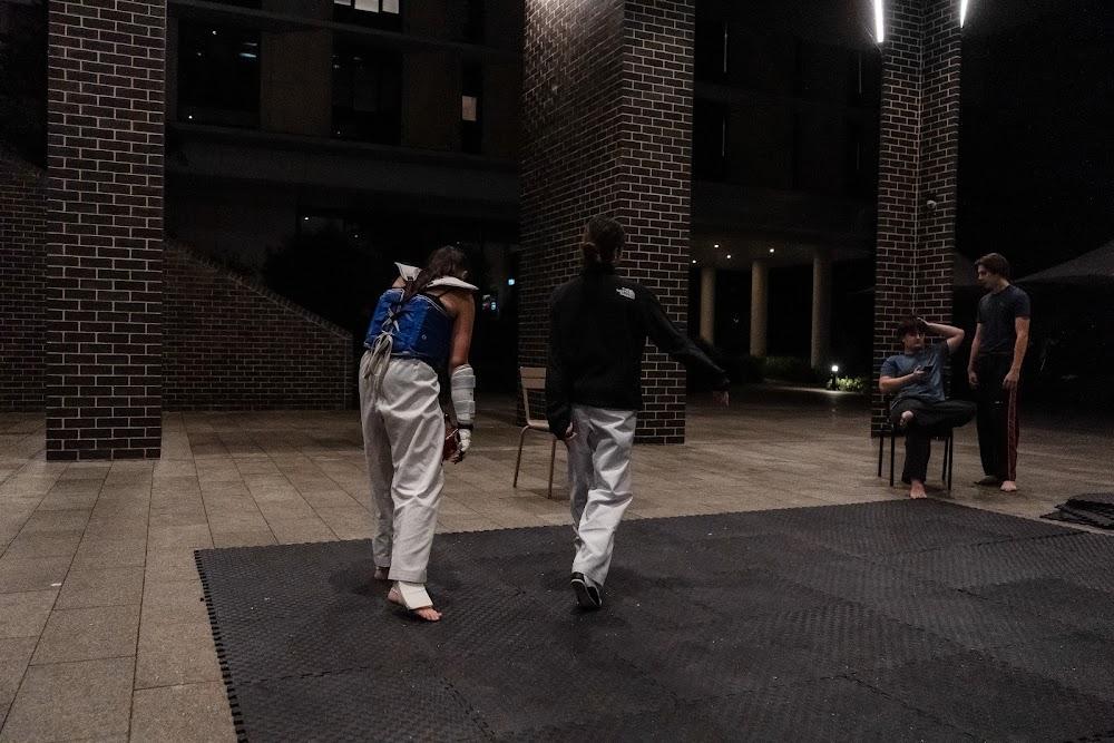 TDog Taekwondo competition G673