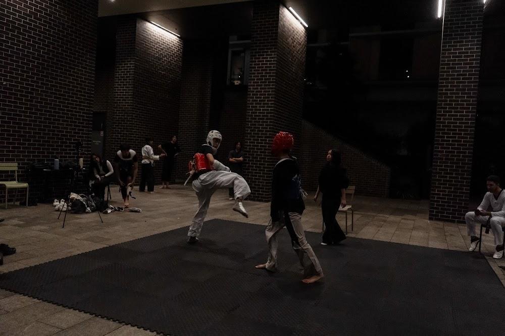 TDog Taekwondo competition G674