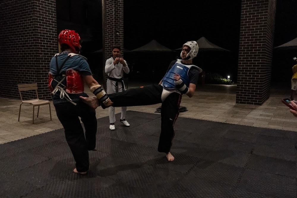 TDog Taekwondo competition G675