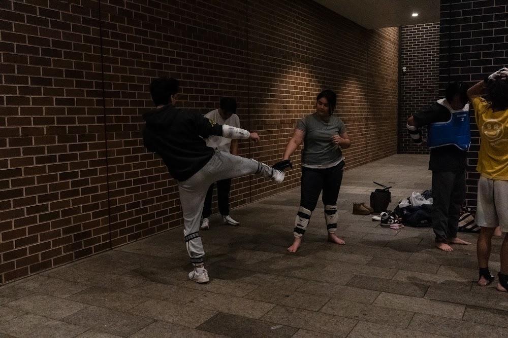 TDog Taekwondo training G681