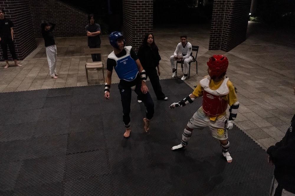 TDog Taekwondo competition G682
