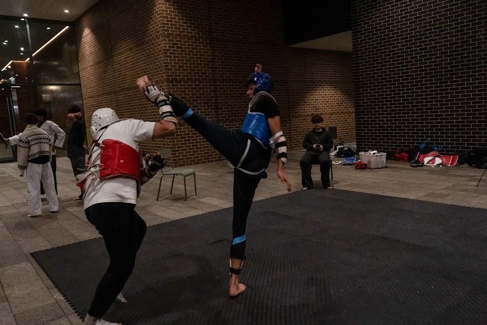 TDog Taekwondo competition G684