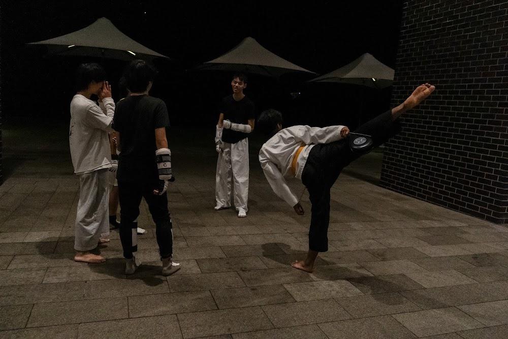 TDog Taekwondo training G685