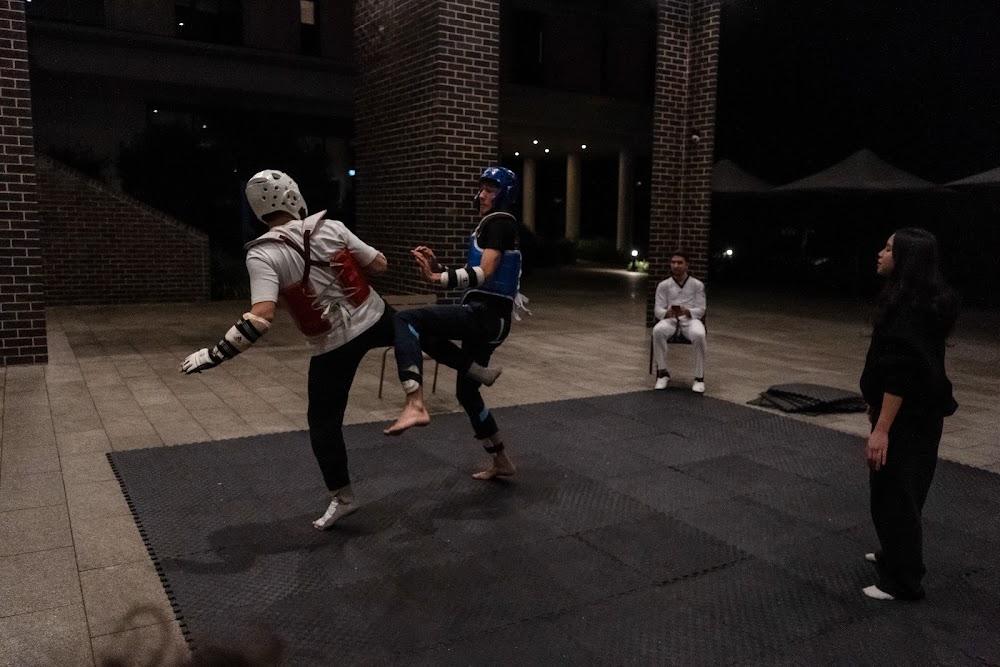 TDog Taekwondo competition G686