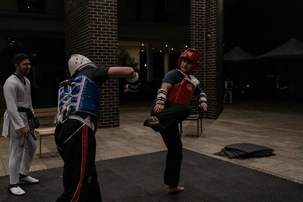 TDog Taekwondo competition G689