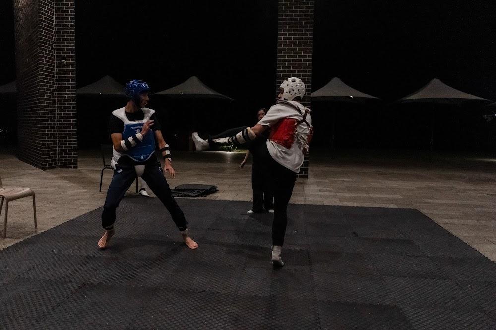 TDog Taekwondo competition G691