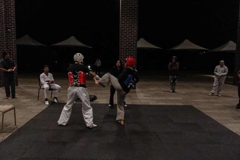 TDog Taekwondo competition G695