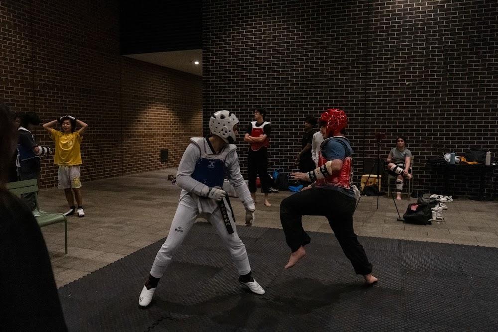 TDog Taekwondo competition G697