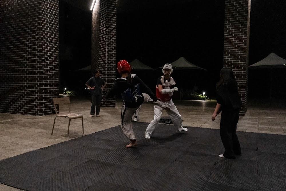 TDog Taekwondo competition G700