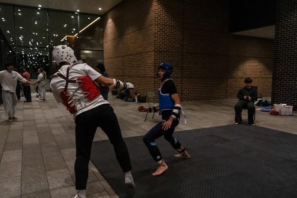 TDog Taekwondo competition G701
