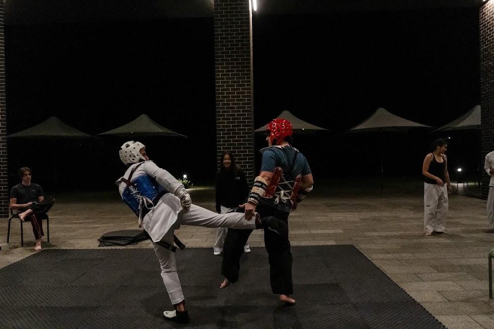 TDog Taekwondo competition G702