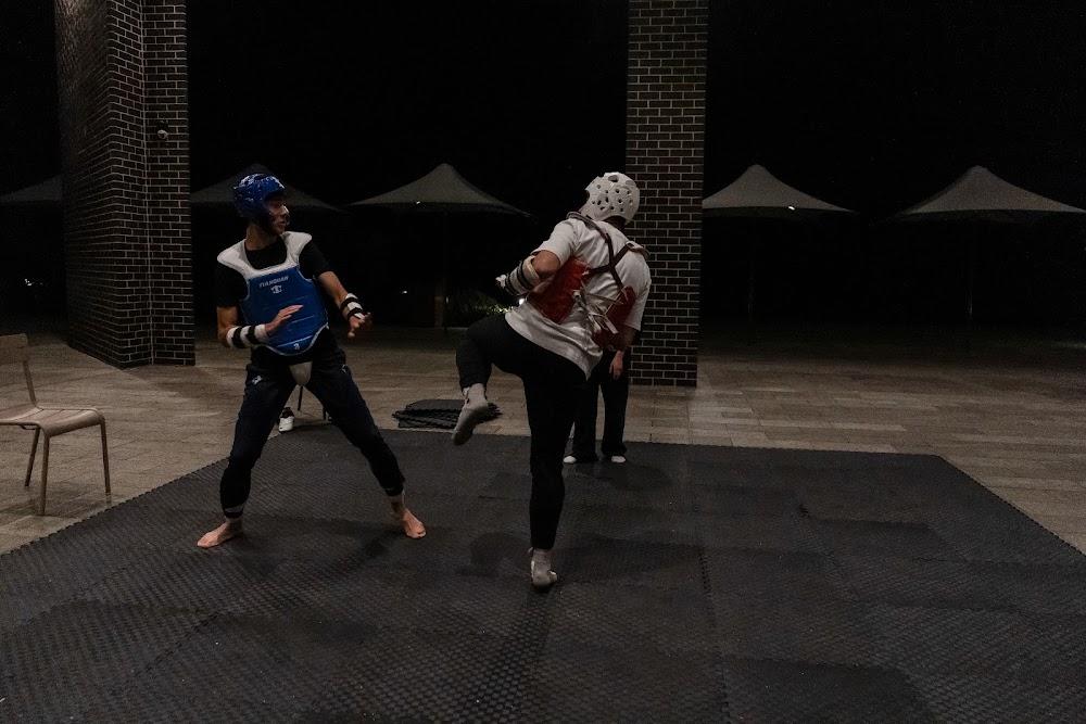 TDog Taekwondo competition G705