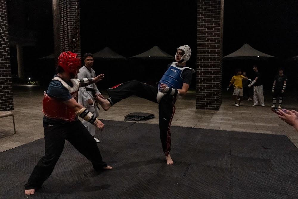 TDog Taekwondo competition G706