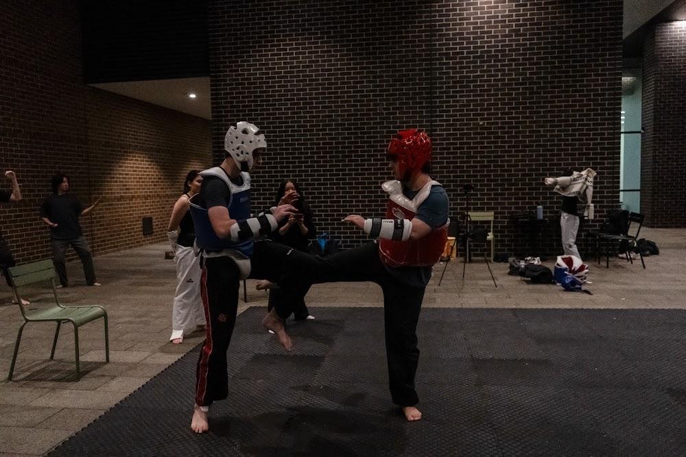 TDog Taekwondo competition G708