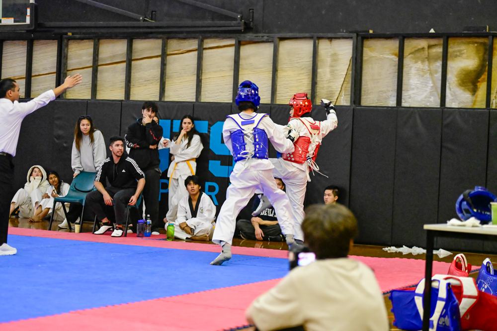 TDog Taekwondo competition G71