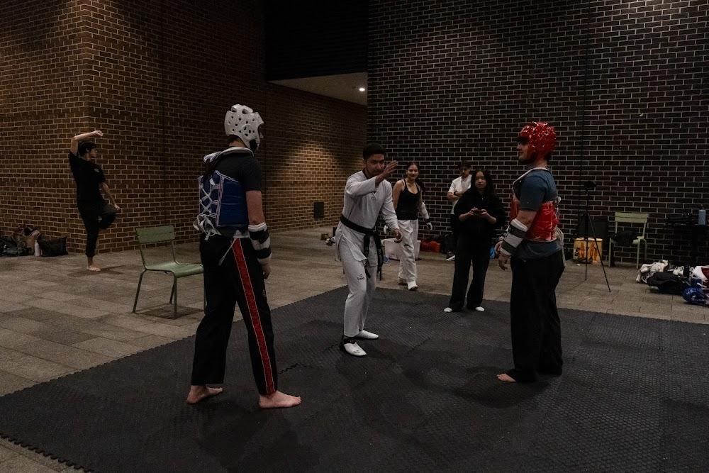 TDog Taekwondo competition G712