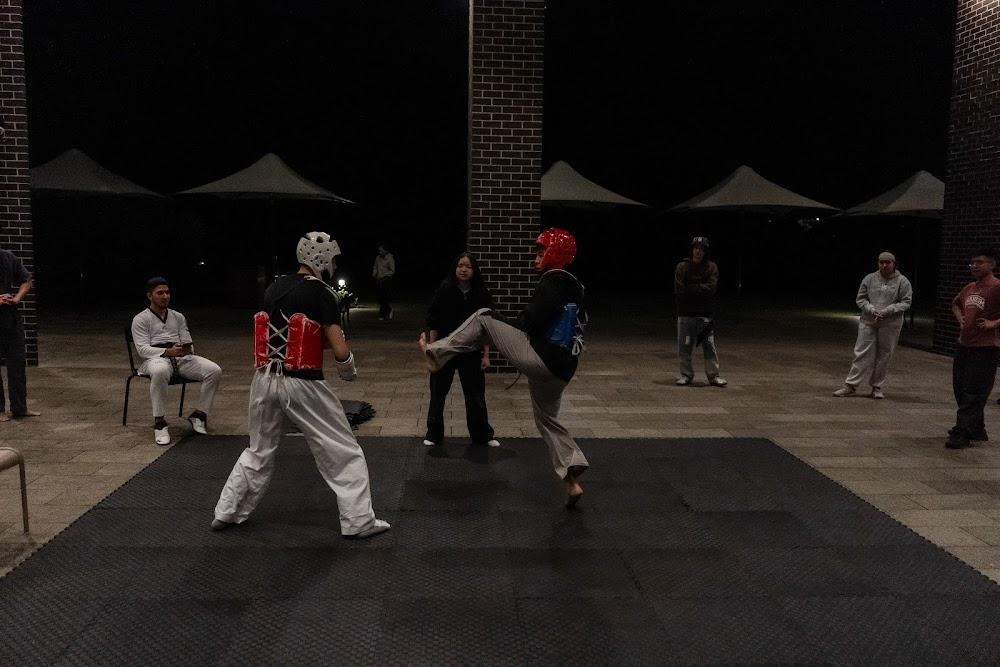TDog Taekwondo competition G713