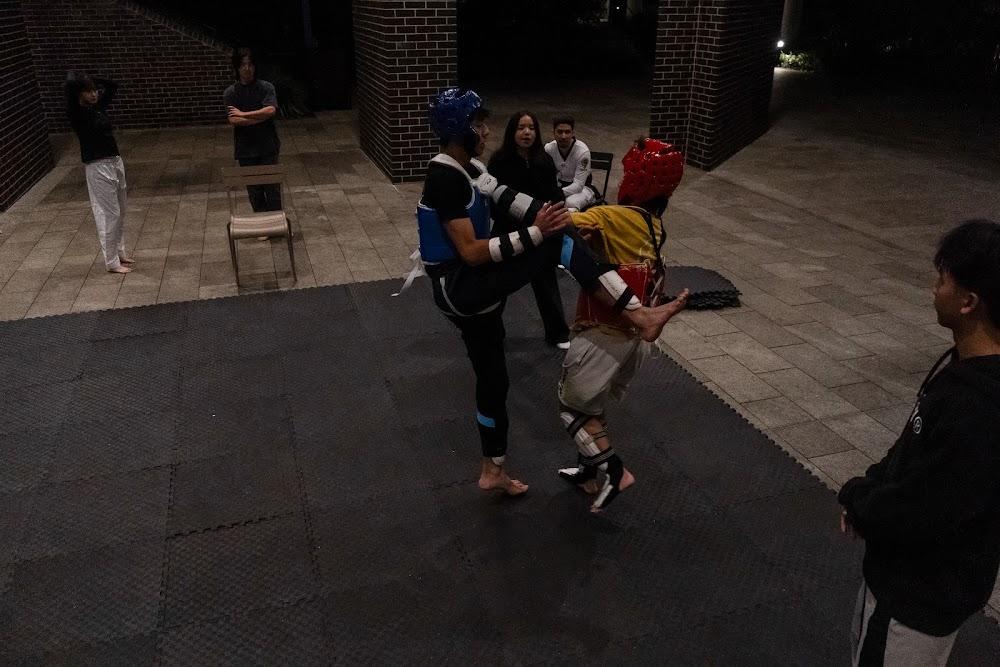 TDog Taekwondo training G714
