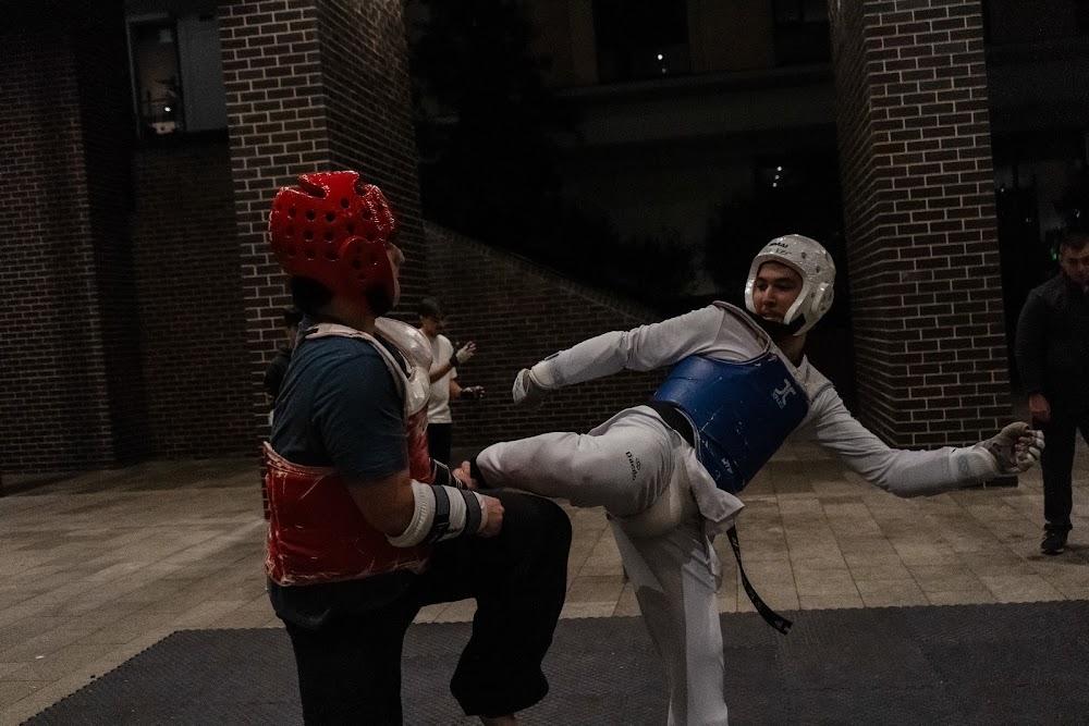 TDog Taekwondo competition G715