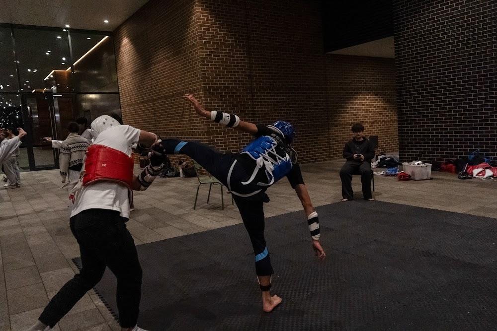 TDog Taekwondo competition G717