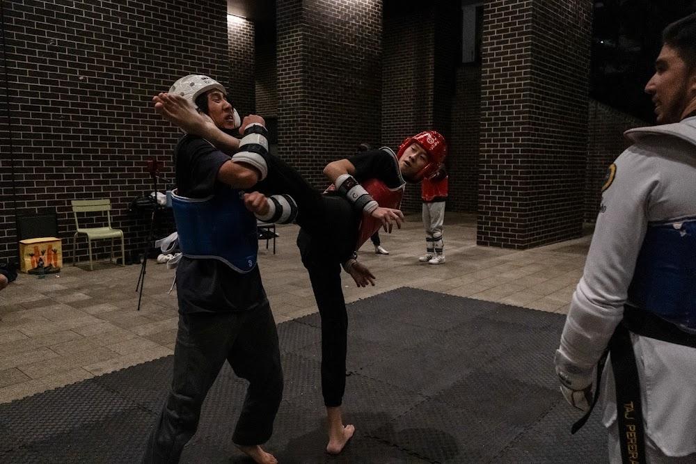 TDog Taekwondo competition G718