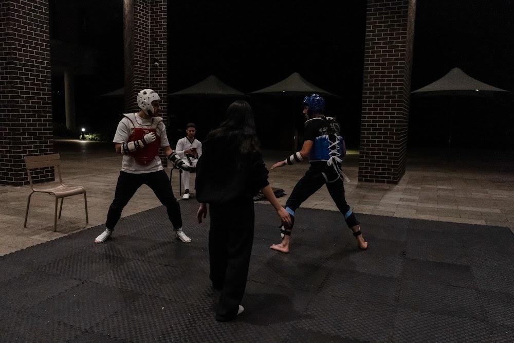 TDog Taekwondo competition G719