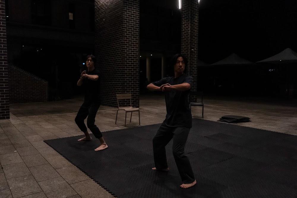 TDog Taekwondo training G722