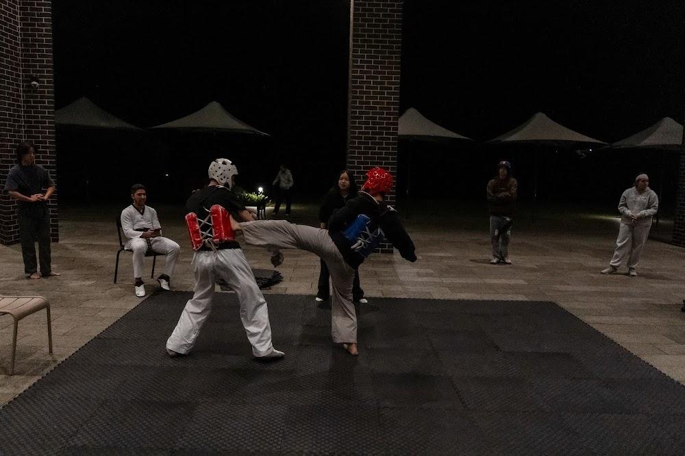 TDog Taekwondo competition G727