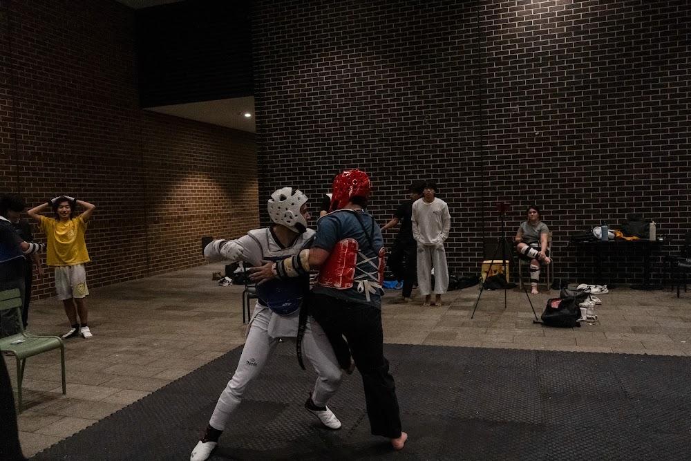 TDog Taekwondo competition G728