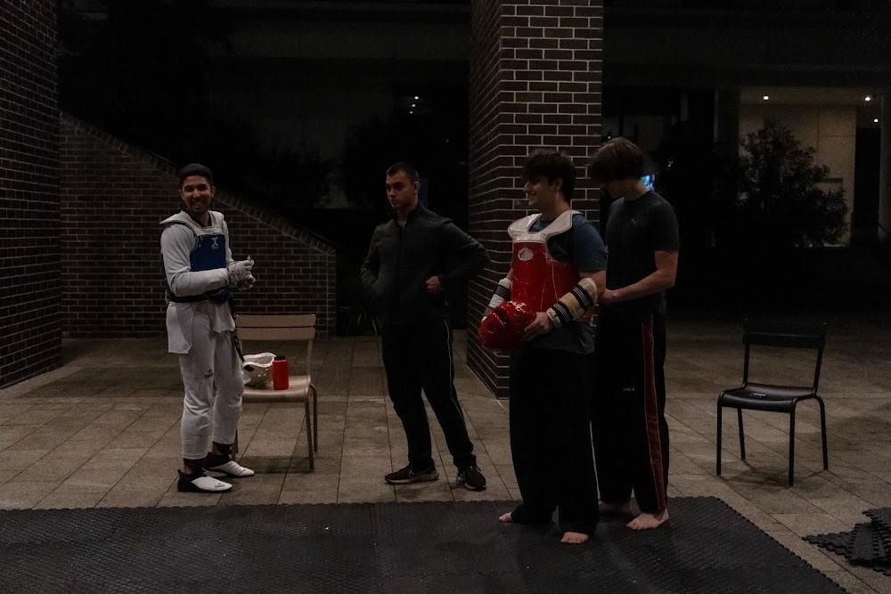 TDog Taekwondo coaching G730
