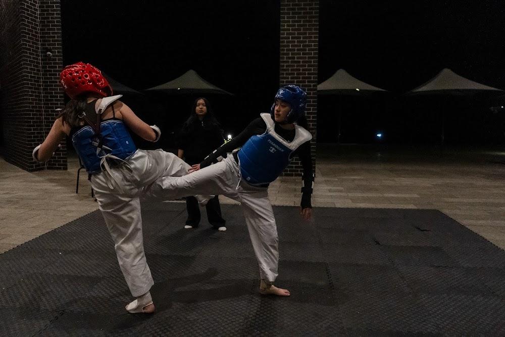 TDog Taekwondo competition G732