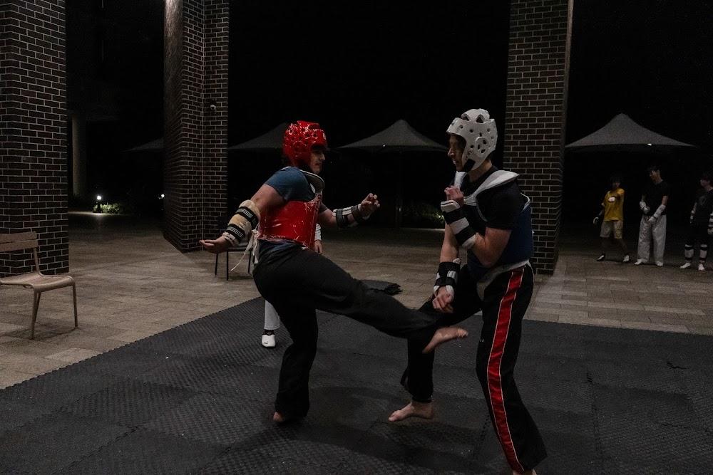 TDog Taekwondo competition G736