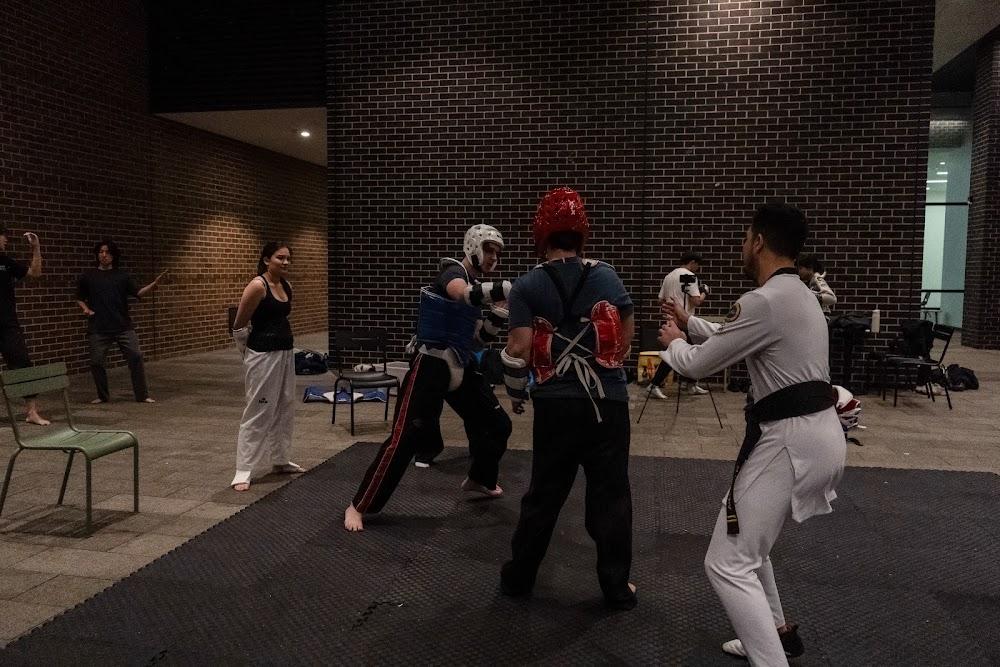 TDog Taekwondo competition G738