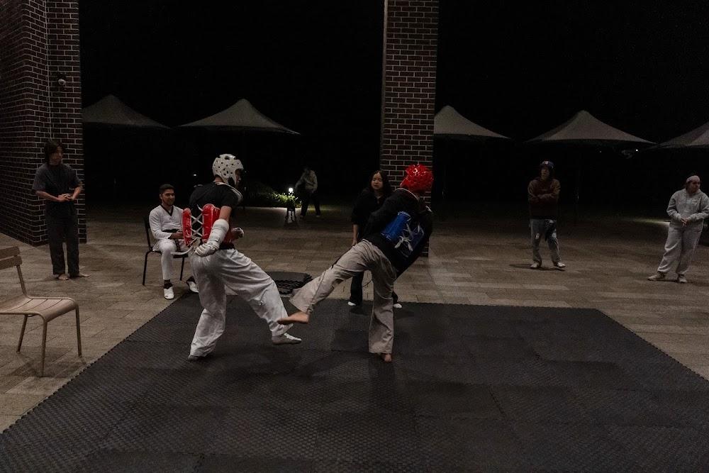 TDog Taekwondo competition G739