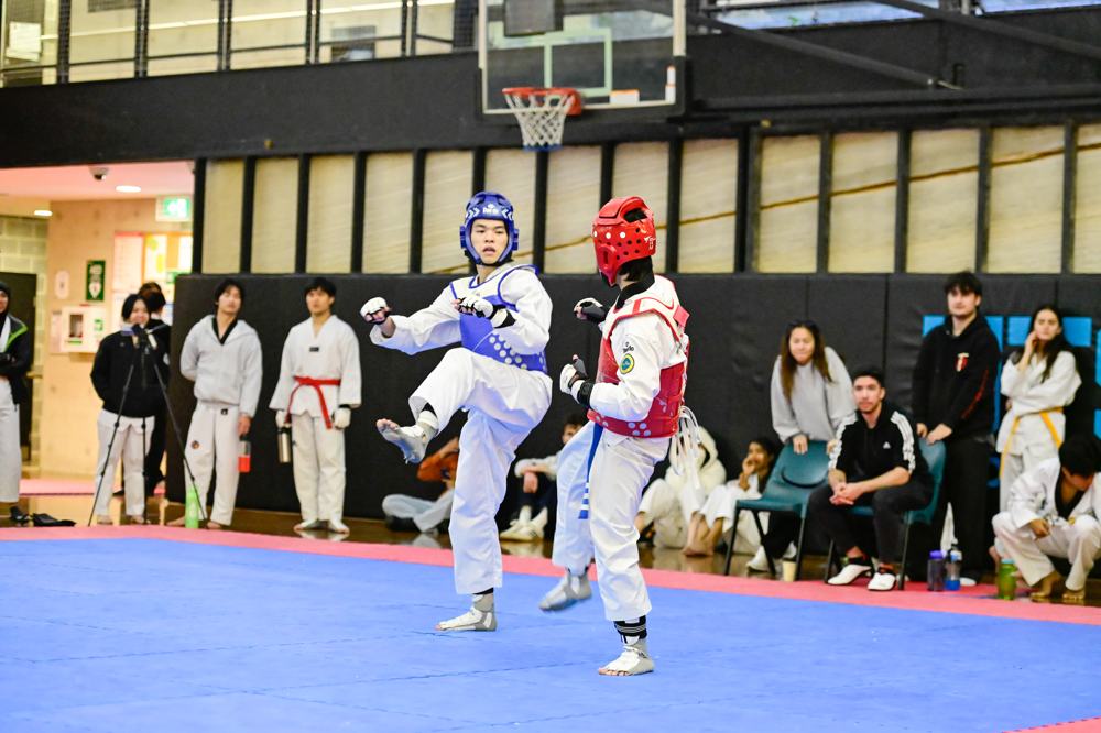 TDog Taekwondo competition G75