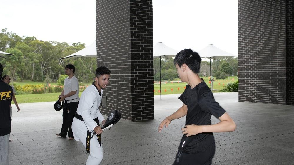 TDog Taekwondo training G778