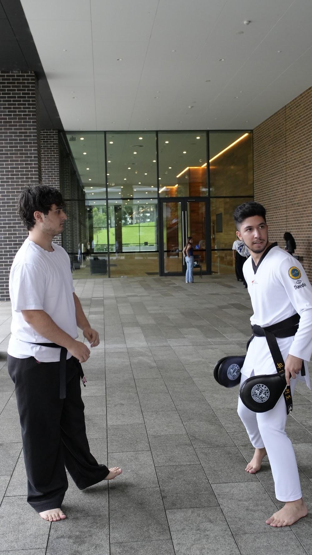 TDog Taekwondo coaching G780