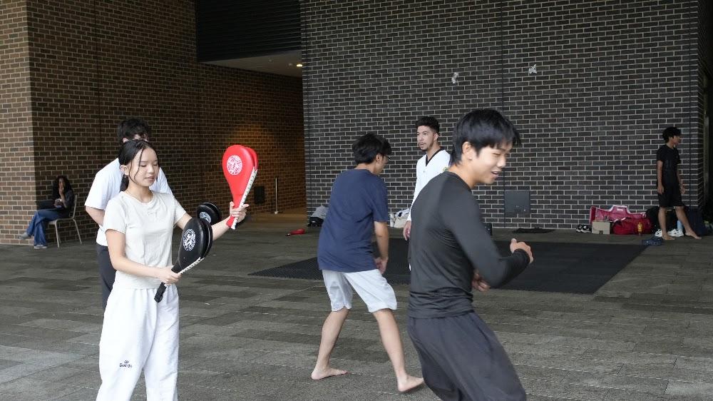 TDog Taekwondo training G790