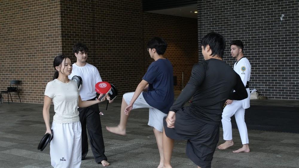 TDog Taekwondo training G791