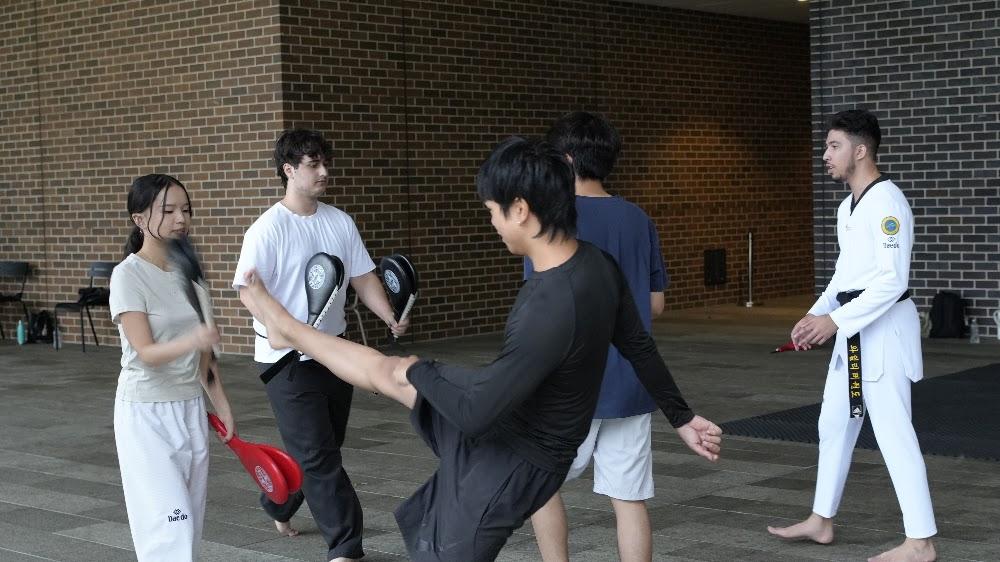TDog Taekwondo training G792