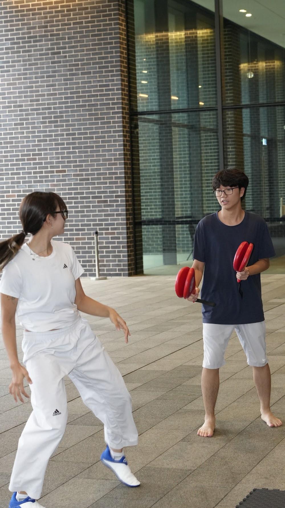 TDog Taekwondo training G802