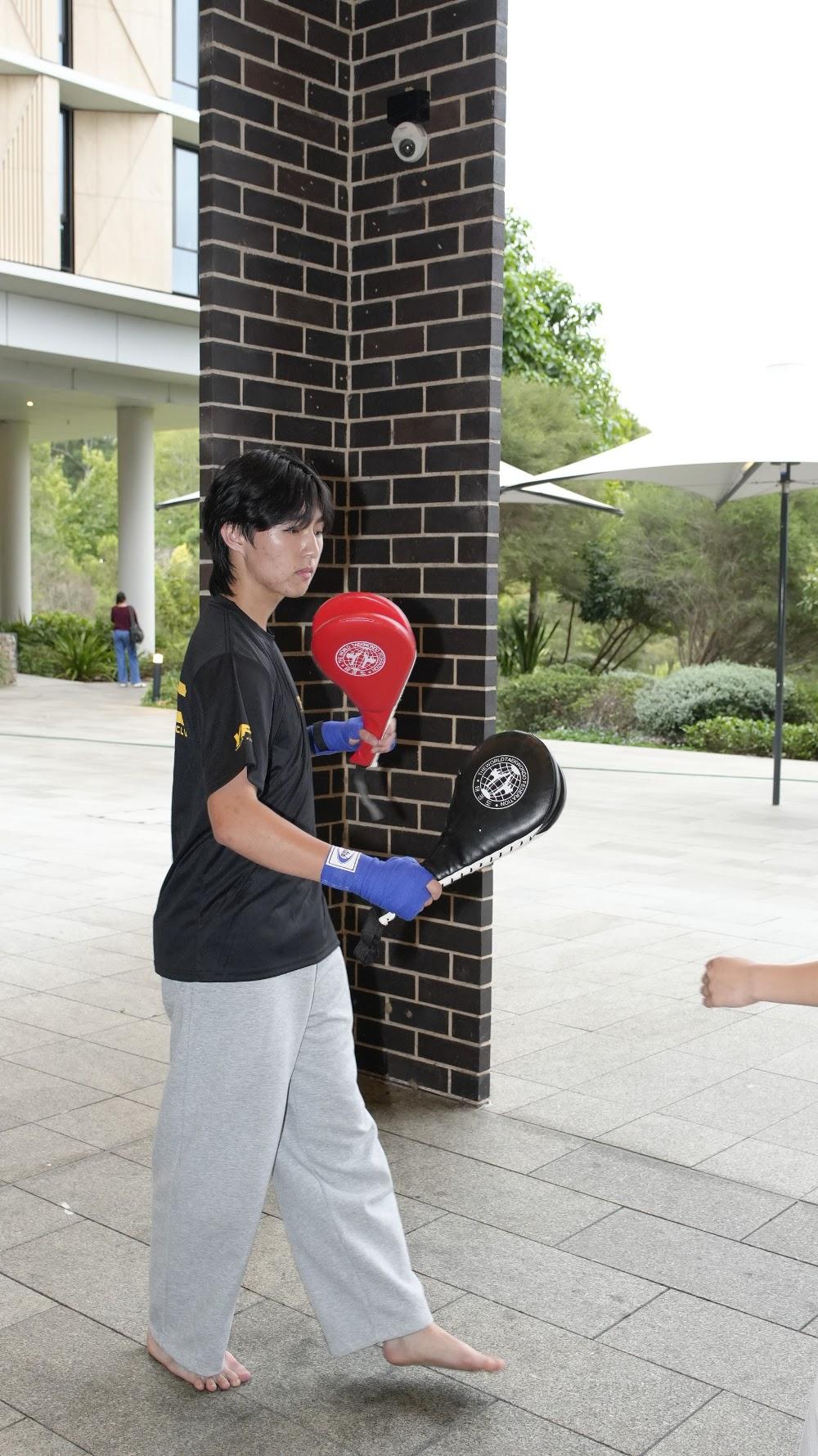 TDog Taekwondo training G804