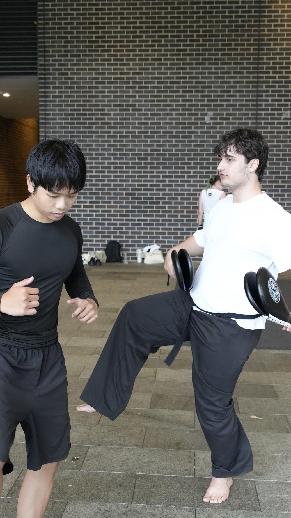 TDog Taekwondo training G805