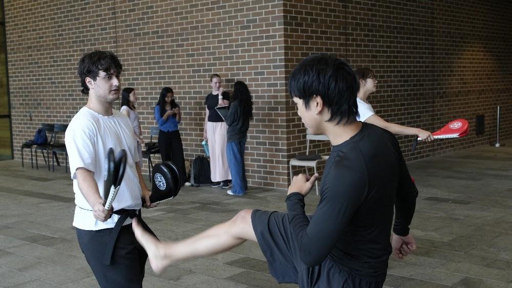 TDog Taekwondo coaching G808