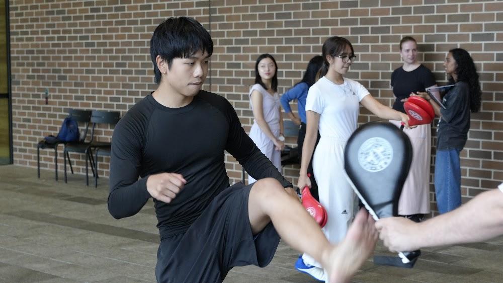 TDog Taekwondo training G809