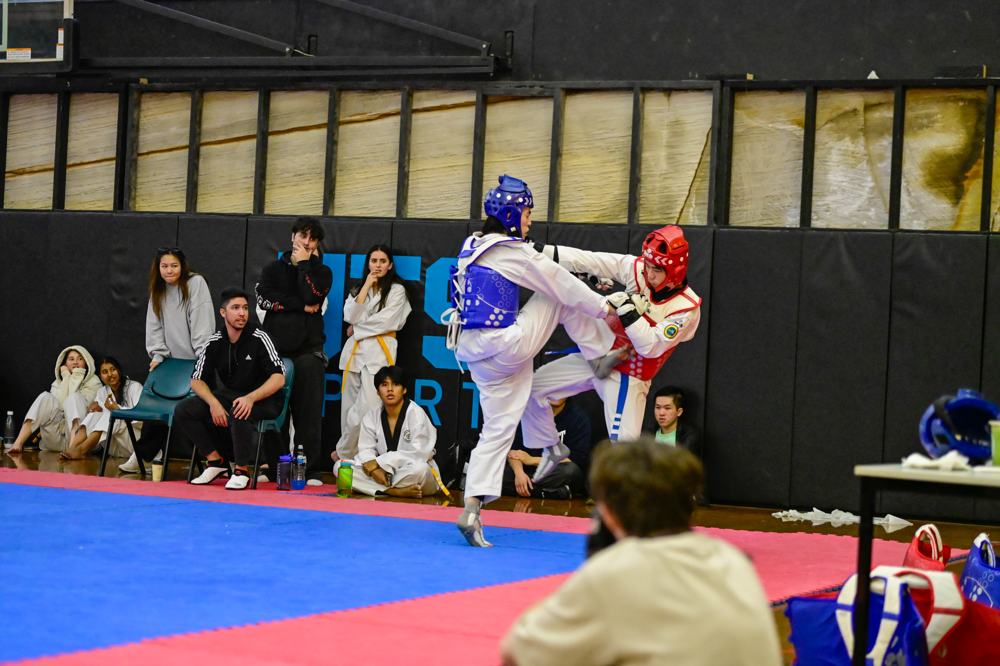 TDog Taekwondo competition G81